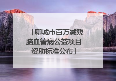 聊城市百万减残脑血管病公益项目资助标准公布