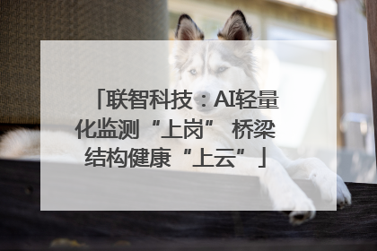 联智科技：AI轻量化监测“上岗” 桥梁结构健康“上云”