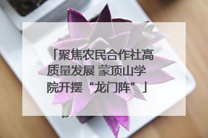 聚焦农民合作社高质量发展 蒙顶山学院开摆“龙门阵”