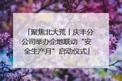 聚焦北大荒丨庆丰分公司举办企地联动“安全生产月”启动仪式