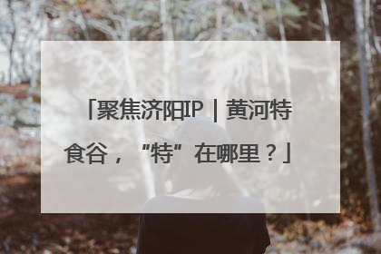 聚焦济阳IP｜黄河特食谷，“特”在哪里？