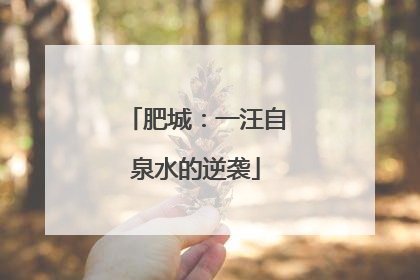 肥城：一汪自泉水的逆袭