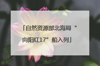 自然资源部北海局“向阳红17”船入列