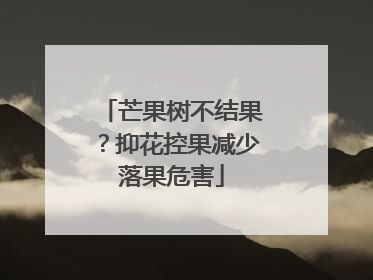 芒果树不结果？抑花控果减少落果危害