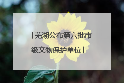 芜湖公布第六批市级文物保护单位