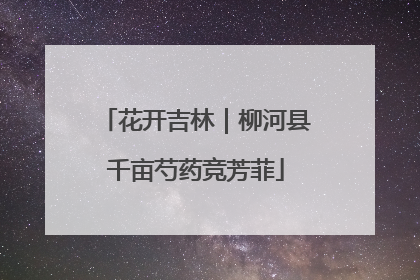 花开吉林｜柳河县千亩芍药竞芳菲