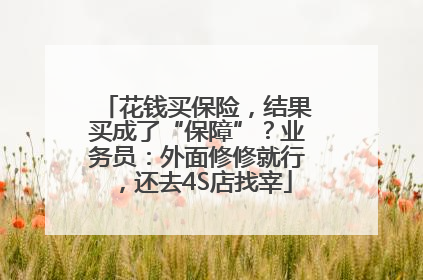 花钱买保险，结果买成了“保障”？业务员：外面修修就行，还去4S店找宰