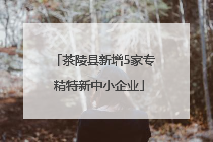 茶陵县新增5家专精特新中小企业