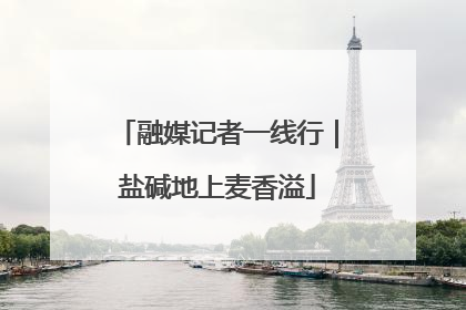 融媒记者一线行｜盐碱地上麦香溢