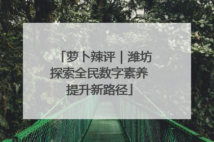 萝卜辣评｜潍坊探索全民数字素养提升新路径