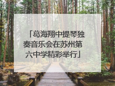 葛海翔中提琴独奏音乐会在苏州第六中学精彩举行