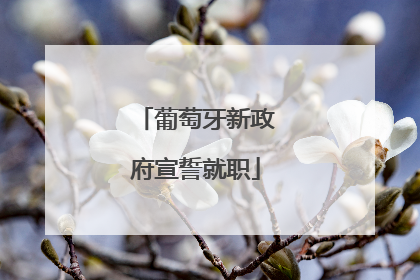 葡萄牙新政府宣誓就职