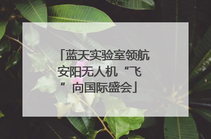 蓝天实验室领航 安阳无人机“飞”向国际盛会