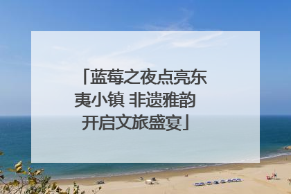 蓝莓之夜点亮东夷小镇 非遗雅韵开启文旅盛宴