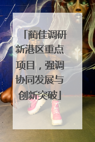 蔺佳调研新港区重点项目，强调协同发展与创新突破