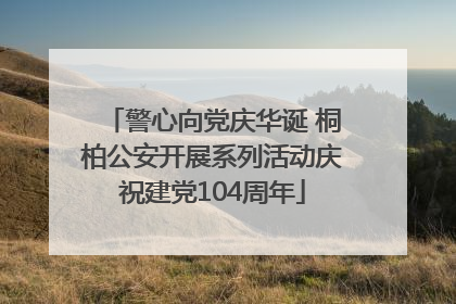 警心向党庆华诞 桐柏公安开展系列活动庆祝建党104周年