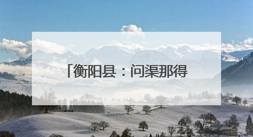 衡阳县：问渠那得清如许 “民声”变“民生”更畅通