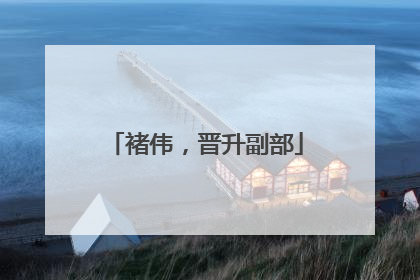 褚伟，晋升副部