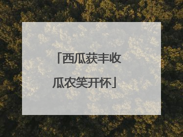 西瓜获丰收 瓜农笑开怀