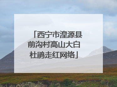 西宁市湟源县前沟村高山大白杜鹃走红网络