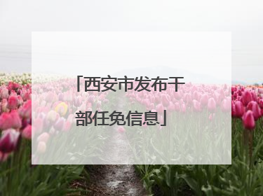 西安市发布干部任免信息