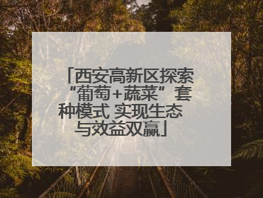 西安高新区探索“葡萄+蔬菜”套种模式 实现生态与效益双赢