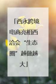 西永跨境电商亮相西洽会“生态圈”越做越大
