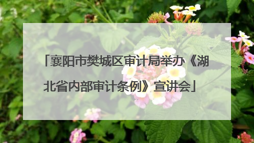 襄阳市樊城区审计局举办《湖北省内部审计条例》宣讲会