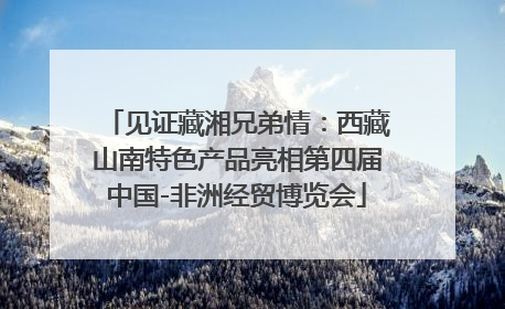 见证藏湘兄弟情：西藏山南特色产品亮相第四届中国-非洲经贸博览会