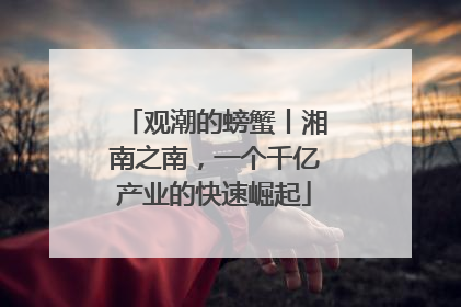 观潮的螃蟹丨湘南之南，一个千亿产业的快速崛起