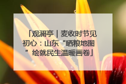 观澜亭｜麦收时节见初心：山东“晒粮地图”绘就民生温暖画卷