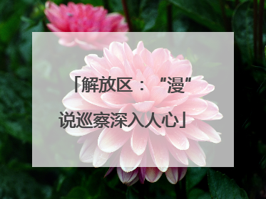 解放区：“漫”说巡察深入人心