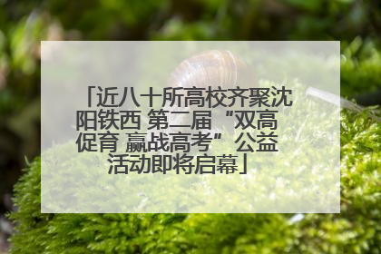 近八十所高校齐聚沈阳铁西 第二届“双高促育 赢战高考”公益活动即将启幕