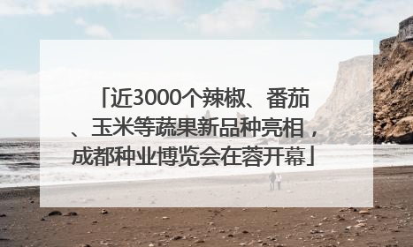 近3000个辣椒、番茄、玉米等蔬果新品种亮相，成都种业博览会在蓉开幕