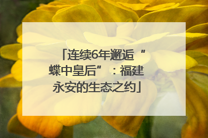 连续6年邂逅“蝶中皇后”：福建永安的生态之约