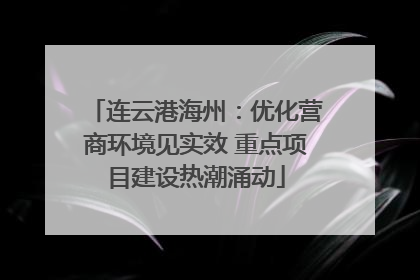 连云港海州：优化营商环境见实效 重点项目建设热潮涌动