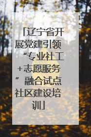 辽宁省开展党建引领“专业社工+志愿服务”融合试点社区建设培训