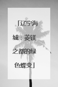 辽宁海城：菱镁之都的绿色蝶变