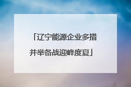 辽宁能源企业多措并举备战迎峰度夏