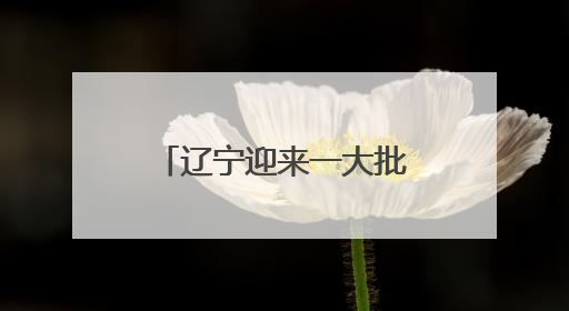 辽宁迎来一大批演唱会、演出！巨星、大咖云集