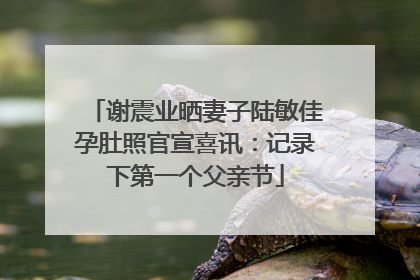 谢震业晒妻子陆敏佳孕肚照官宣喜讯：记录下第一个父亲节