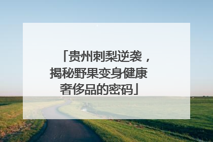 贵州刺梨逆袭，揭秘野果变身健康奢侈品的密码