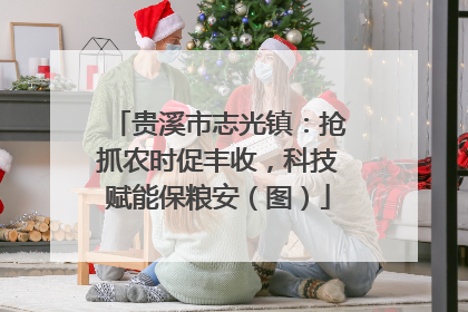 贵溪市志光镇：抢抓农时促丰收，科技赋能保粮安（图）
