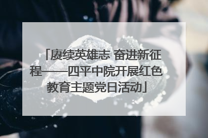 赓续英雄志 奋进新征程——四平中院开展红色教育主题党日活动