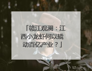赣江观澜：江西小龙虾何以撬动百亿产业？