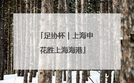 足协杯｜上海申花胜上海海港