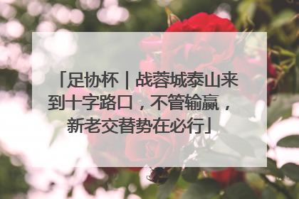 足协杯｜战蓉城泰山来到十字路口，不管输赢，新老交替势在必行