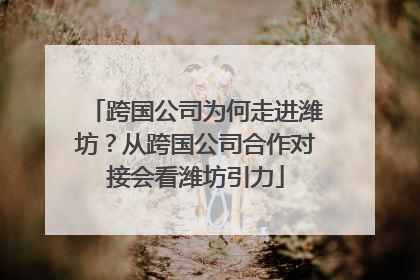 跨国公司为何走进潍坊？从跨国公司合作对接会看潍坊引力
