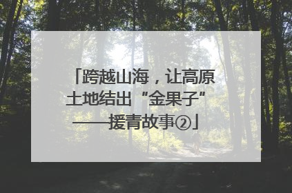 跨越山海，让高原土地结出“金果子”——援青故事②