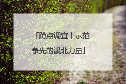 蹲点调查丨示范争先的溪北力量